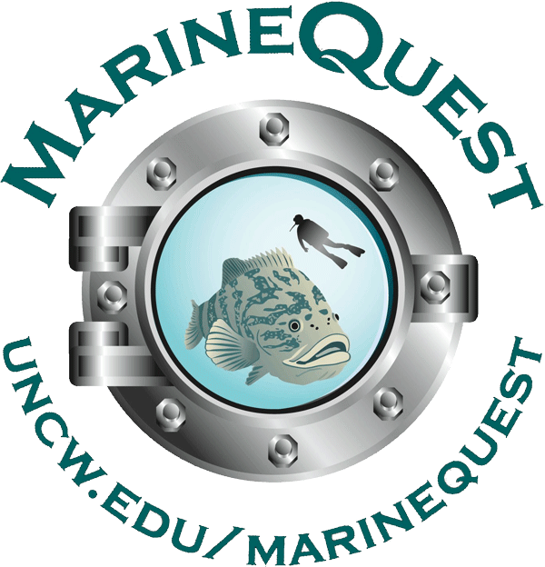 MarineQuest
