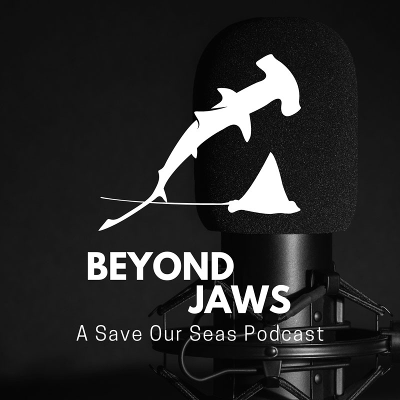 Beyond Jaws: A Save Our Seas Podcast