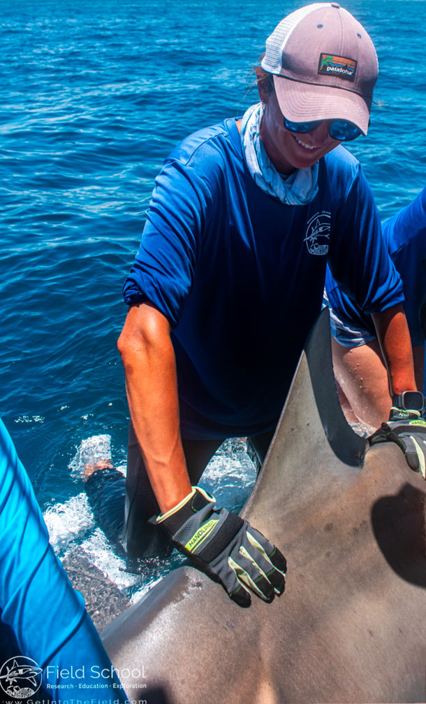 Maria Pierce, PhD Candidate